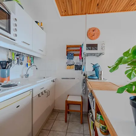 Dominica-3 By Interhome Apartment Le Barcares